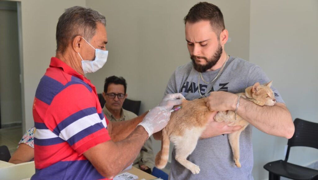 Dia D da Vacinação Antirrábica em Aparecida é neste sábado, 23