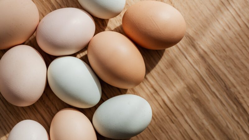 A importância de explorar os benefícios nutricionais do ovo