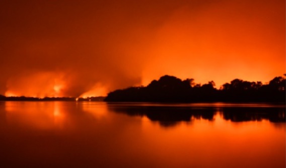 Incêndios podem ter degradado 9% do Pantanal nos últimos cinco anos