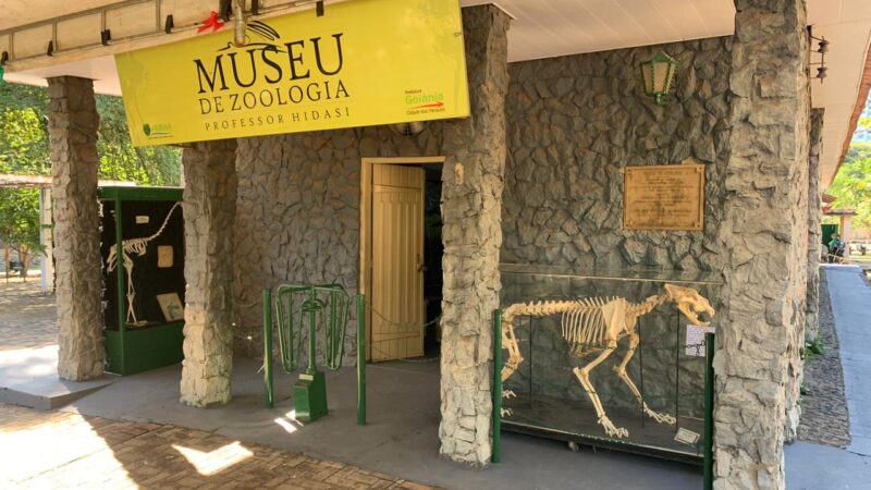 Zoológico de Goiânia reabre museu de animais taxidermizados