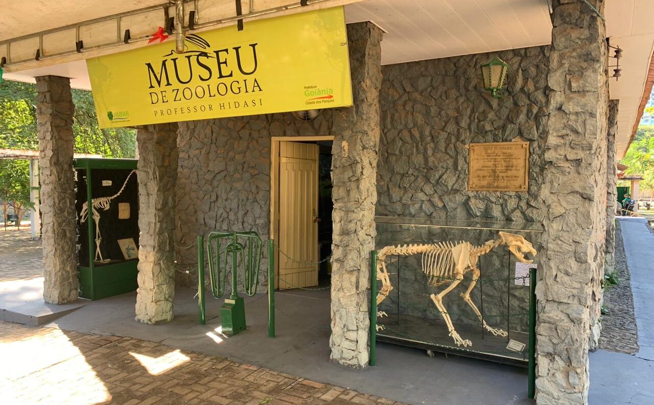 Zoológico de Goiânia reabre museu de animais taxidermizados