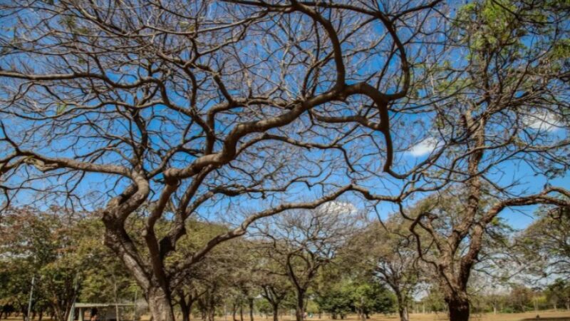 Inmet alerta sobre baixa umidade no Centro-Oeste e no Tocantins