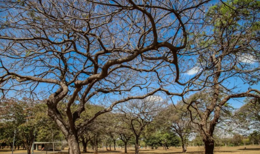 Inmet alerta sobre baixa umidade no Centro-Oeste e no Tocantins