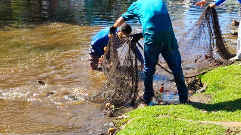 Manejo de peixes garante sobrevivência de espécies em parques de Goiânia