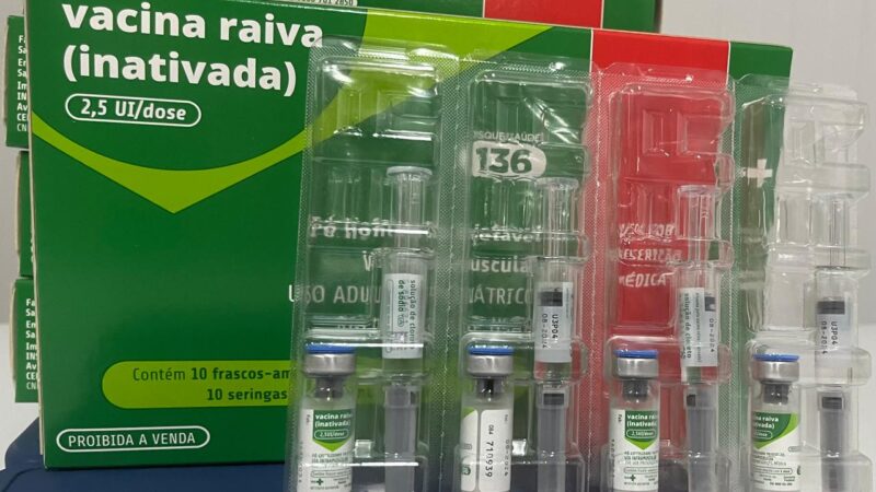 Saúde orienta sobre cuidados após mordida de cão ou gato; veja onde ser vacinado