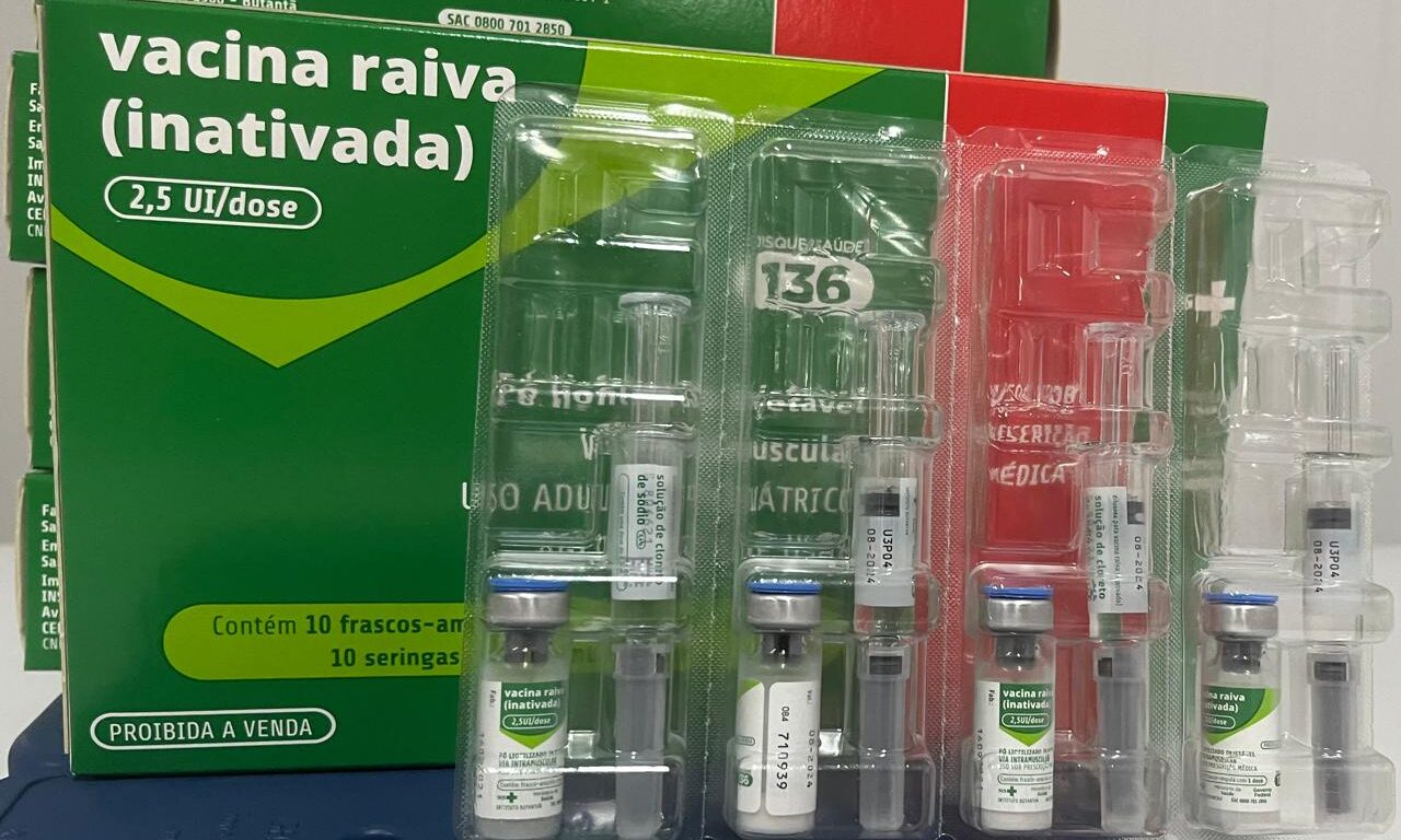 Saúde orienta sobre cuidados após mordida de cão ou gato; veja onde ser vacinado