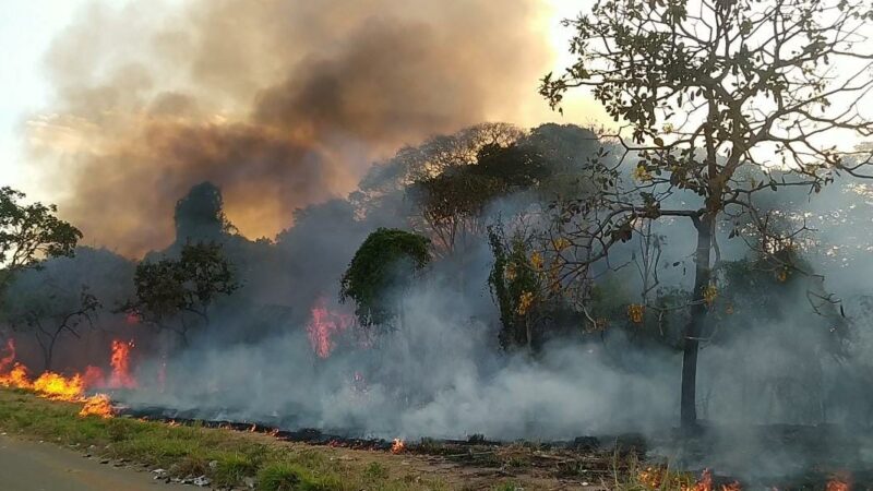 Semma orienta população sobre prejuízos causados por incêndios em vegetação