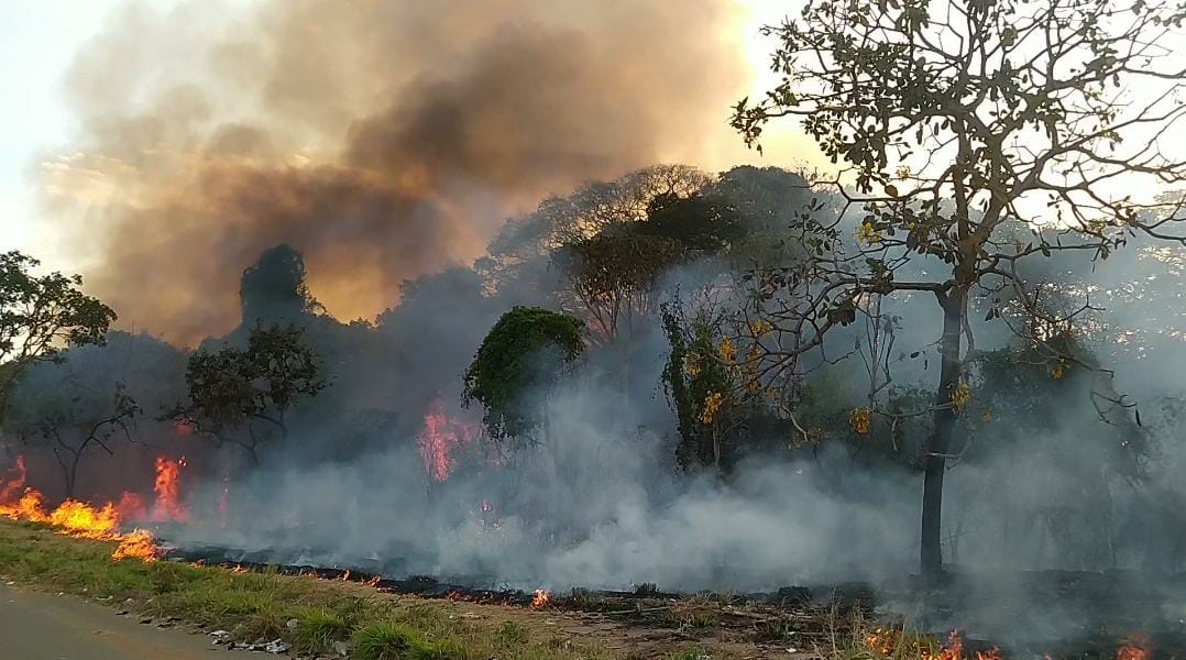 Semma orienta população sobre prejuízos causados por incêndios em vegetação