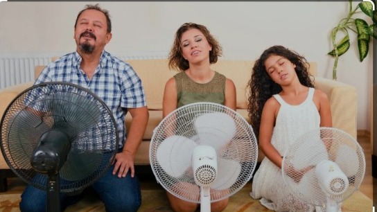 Procon Goiânia aponta variação de até 31,15% nos preços de climatizadores, ventiladores e ares-condicionados