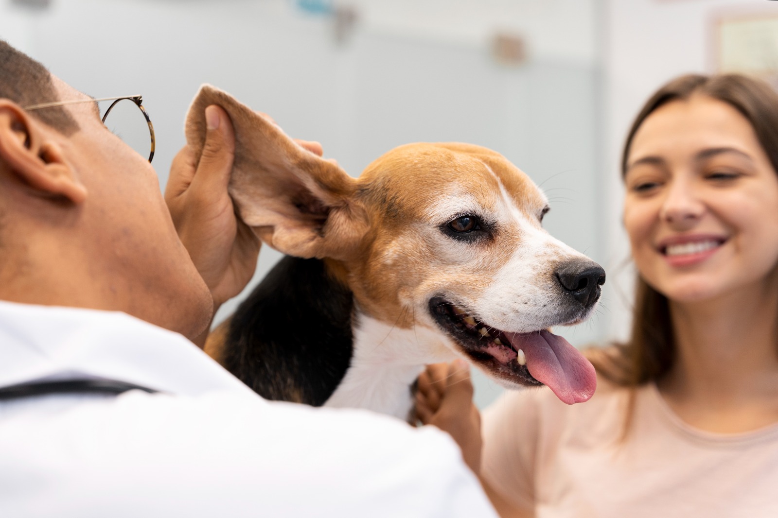 Especialista aponta clínicas de pets e alimentação saudável como fortes tendências de mercado para segundo semestre