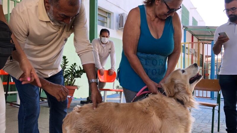 Goiânia realiza segunda etapa da vacinação antirrábica neste sábado (21/9)