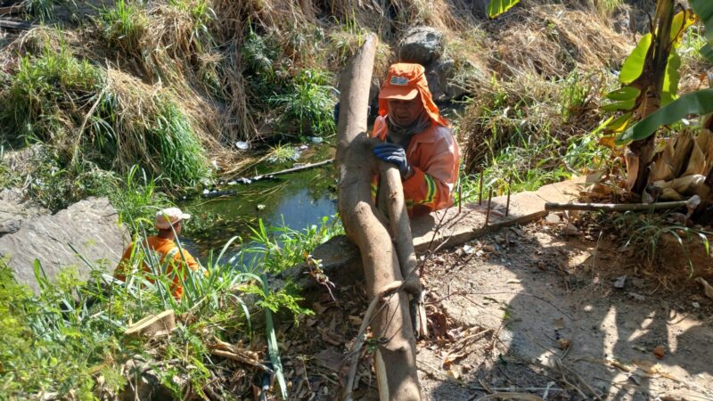 Prefeitura de Goiânia intensifica limpeza de córregos e alerta para o descarte de lixo às vésperas do período chuvoso