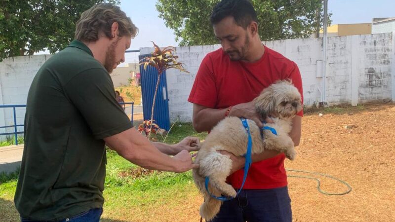 Prefeitura de Goiânia vacina mais de 77 mil cães e gatos contra raiva