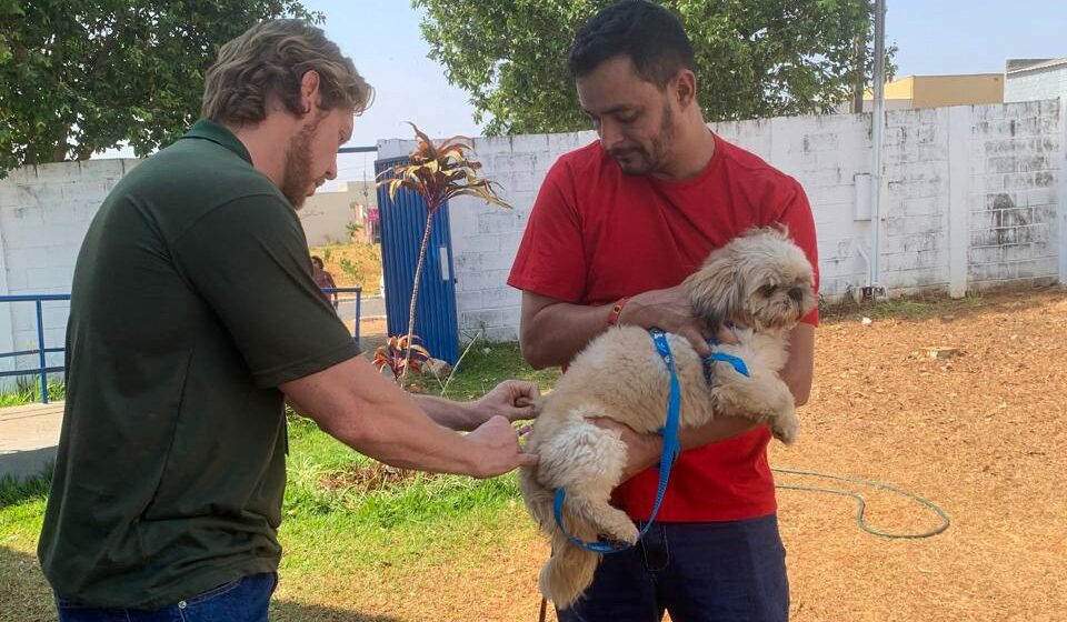 Prefeitura de Goiânia vacina mais de 77 mil cães e gatos contra raiva